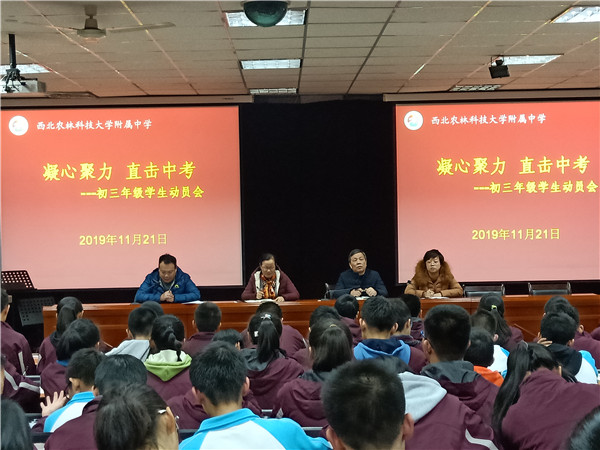 e149983922e14924ba33e54ccf0545de.jpg FF506BB9725528B68D4637DDFCECD8E8.jpg