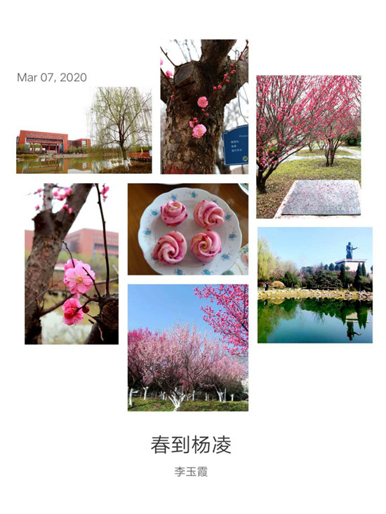 d5c15a95775d4bb8aa5d56faeb936a74.jpg 李玉霞作品.jpg