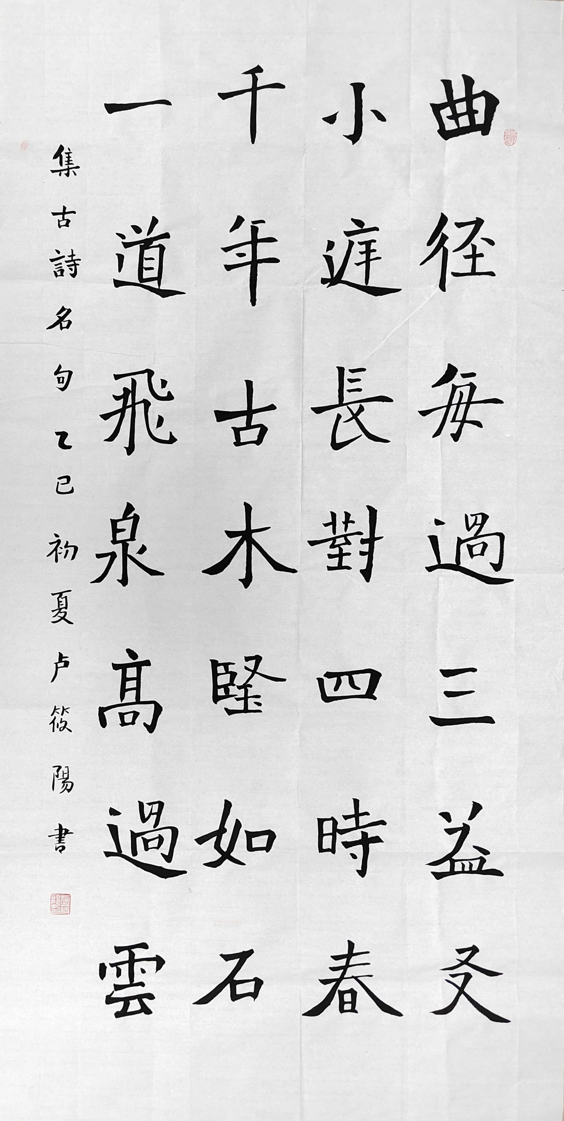 卢筱阳.jpg