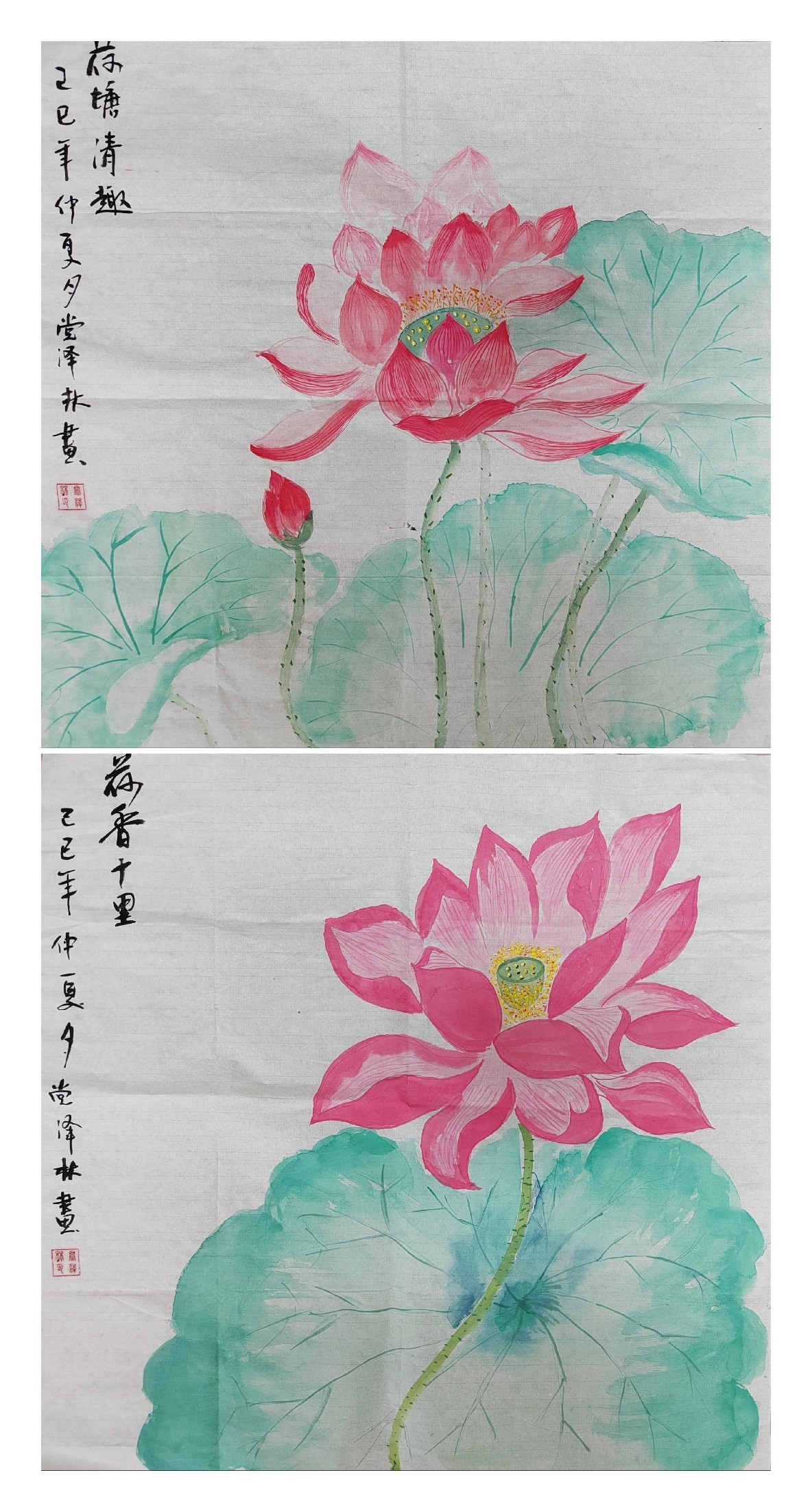 党泽林.jpg