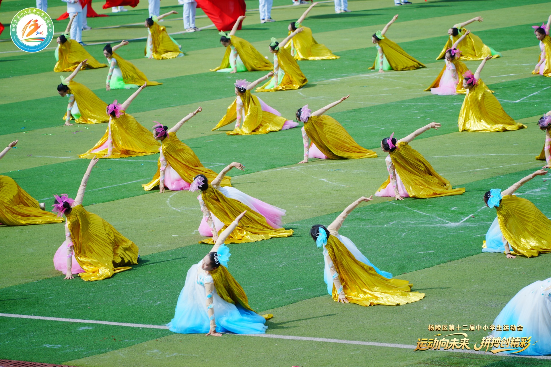 逐梦启航，风华绽放——我校学子闪耀杨陵区运动会开幕式！