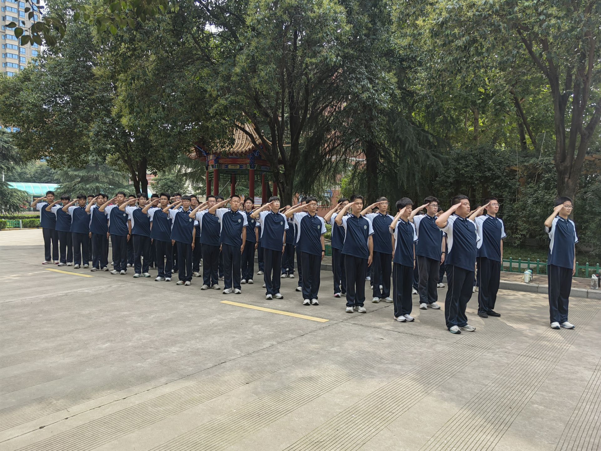 奋斗展风华 汗水伴欢歌||军训纪实六