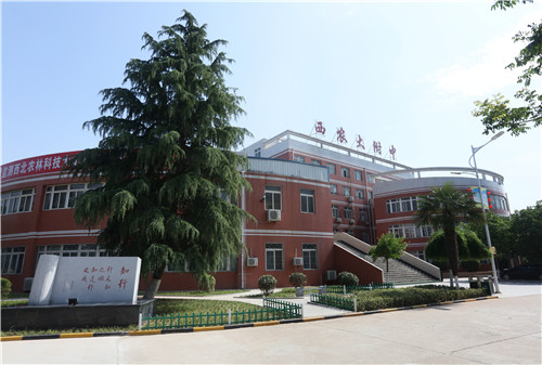 35b278da1f7844e5a469a2a9d6ddf374.jpg 附中校园.jpg